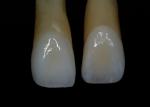 Customized and characterized CEREC/ IPS Empress CAD ceramics. 